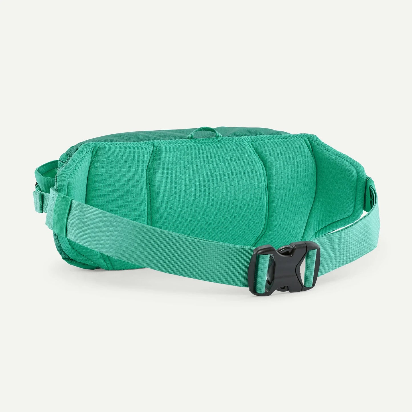 Black Hole® Waist Pack 5L - US 4231